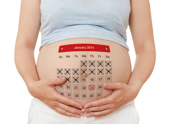 ivf calendar