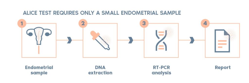 chronic endometritis