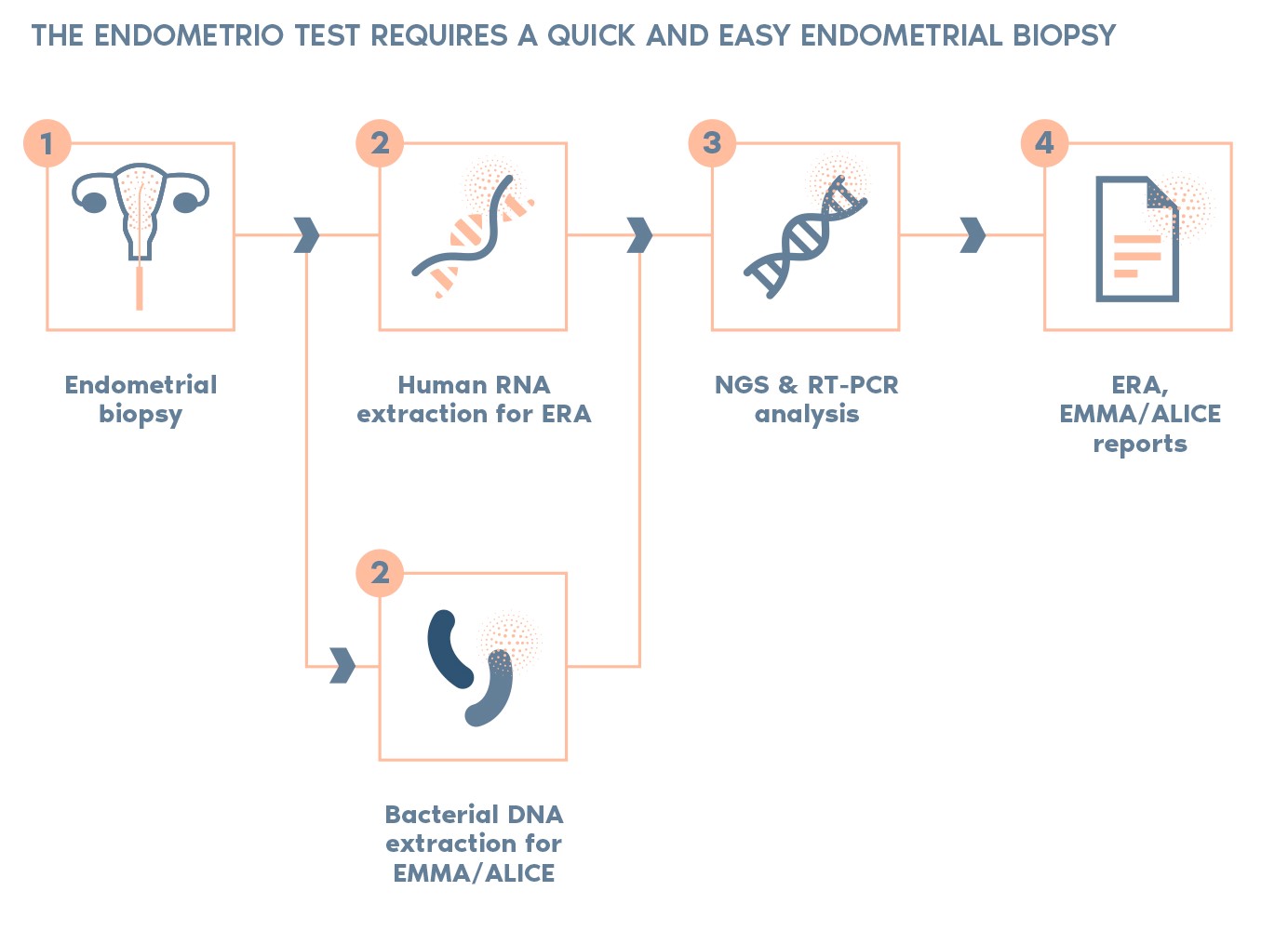 endometrial receptivity